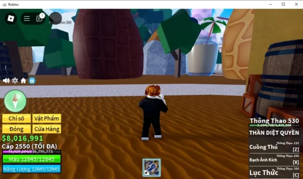 roblox7