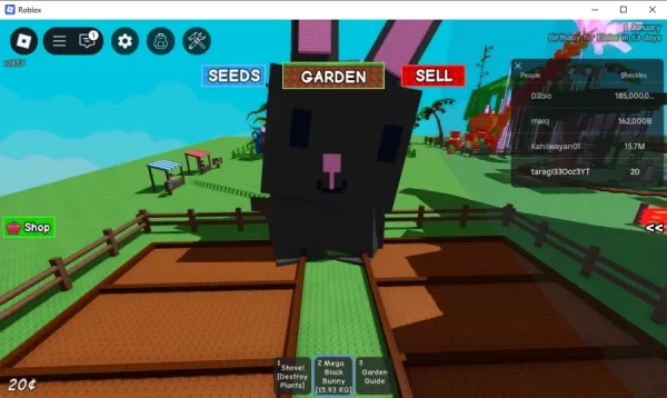 roblox17